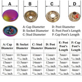Rainbow Decorative Snaps Button Antique Snaps Bronze Vintage Leather Fastener