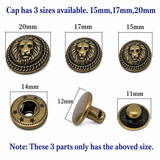 Exquisite Shape Fashion snaps  Antique Snap Button Bronze Vintage Snap
